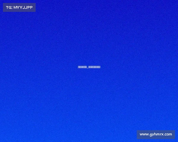 火箭赛事情况_火箭赛事情况介绍